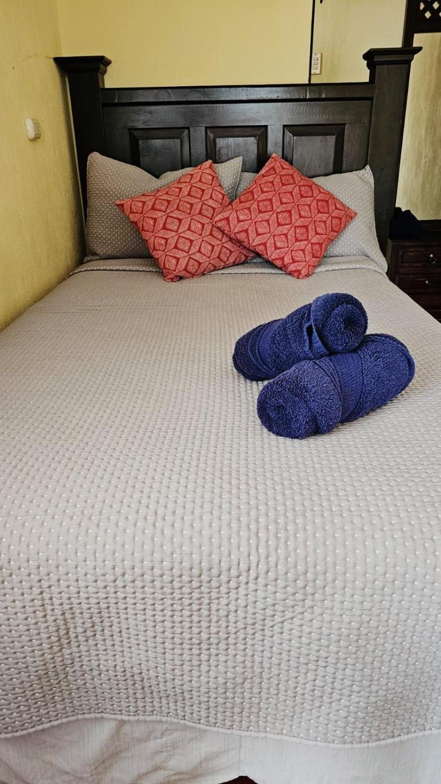 One Day Trip Hostel Antigua Εξωτερικό φωτογραφία