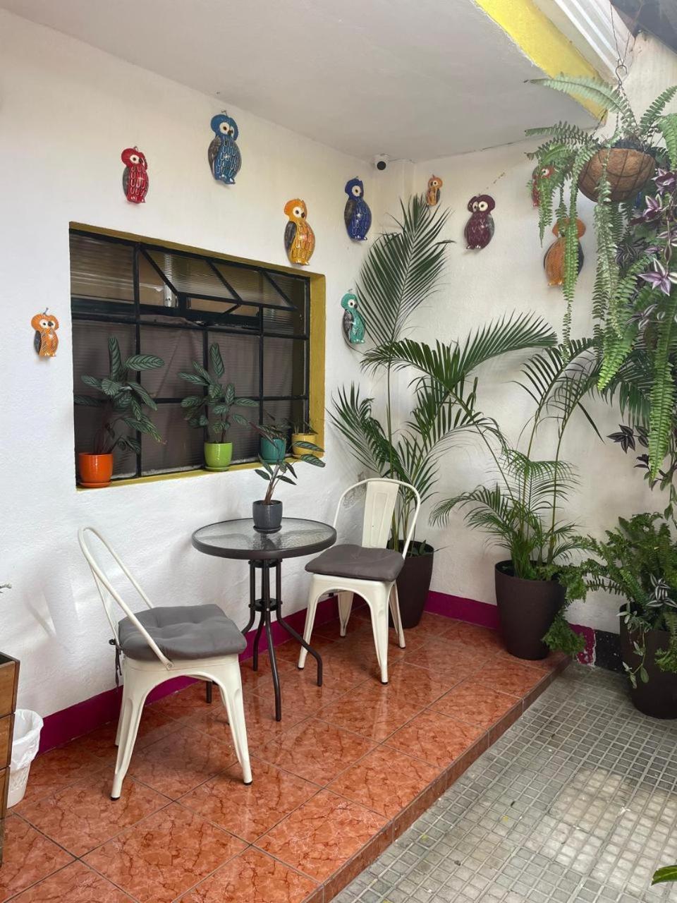 One Day Trip Hostel Antigua Εξωτερικό φωτογραφία